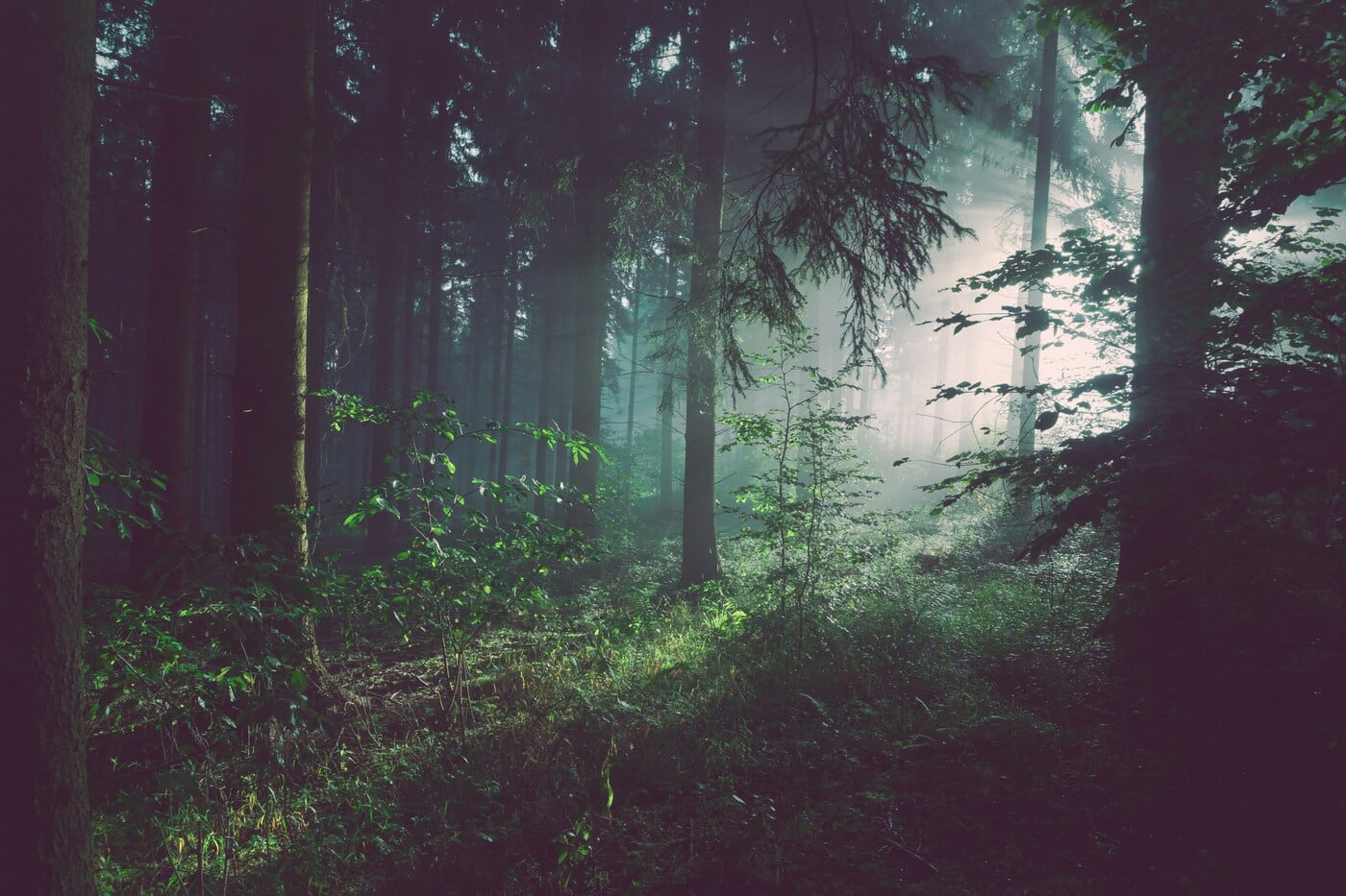foto di Sebastian Unrau su Unsplash