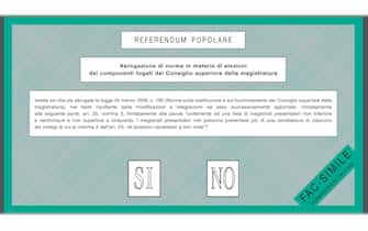 Il fac-simile della scheda per il referendum