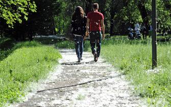 Milano - Con l arrivo della primavera esplodono le allergie causate dai pollini