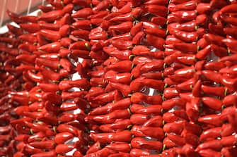 A photo shows Espelette peppers on October 30, 2016 in Espelette, southern France, during the celebration of the Espelette Pepper.
 / AFP / GAIZKA IROZ        (Photo credit should read GAIZKA IROZ/AFP via Getty Images)