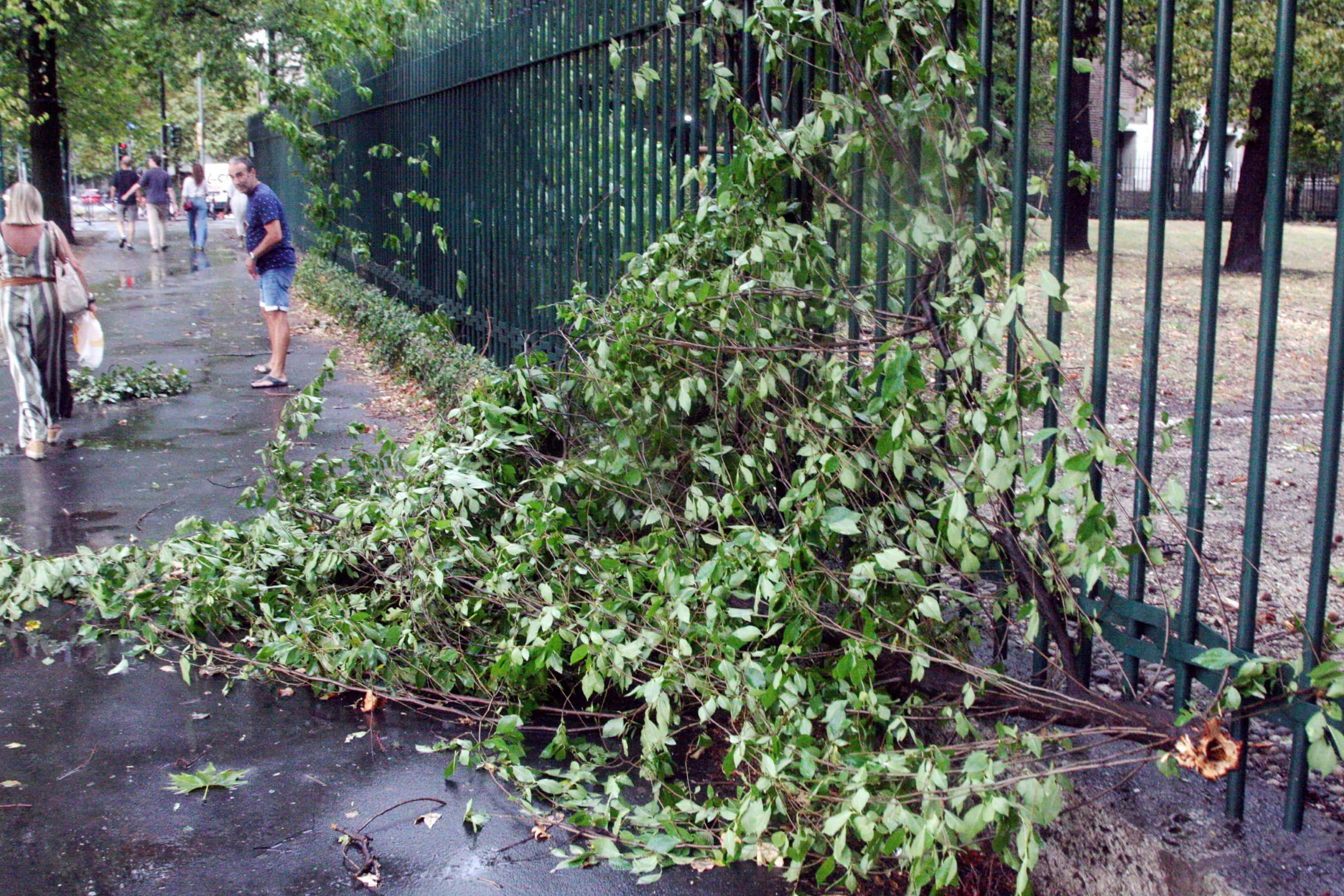 Maltempo nel centro di Milano a Parco Sempione, Milano, 26 agosto 2023 , ANSA PAOLO SALMOIRAGO