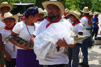 Villagers walk a spectacled caiman (Caiman crocodilus) called "La NiÃ±a Princesa" ("The Princess Girl"), dressed as a bride, before being married to the Mayor in San Pedro Huamelula, Oaxaca state, Mexico on June 30, 2023. This ancient ritual of more than 230 years unites two ethnic groups in marriage to bring prosperity and peace. The spectacled caiman (Caiman crocodilus) is paraded around the community before being dressed as a bride and marrying the Mayor. According to beliefs, this union between the human and the divine will bring blessings such as a good harvest and abundant fishing. (Photo by RUSVEL RASGADO / AFP) (Photo by RUSVEL RASGADO/AFP via Getty Images)