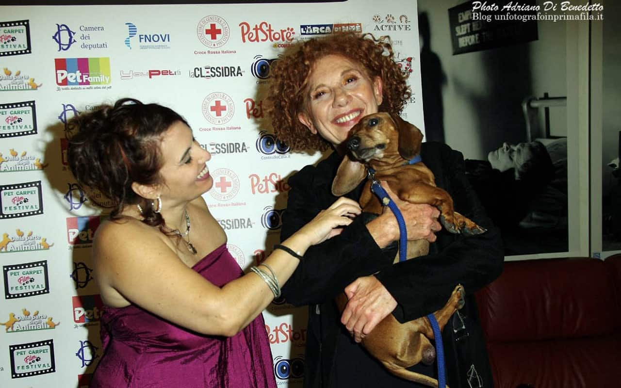 Pet Carpet Film Festival, a Roma la VI edizione della rassegna  cinematografica | Sky TG24