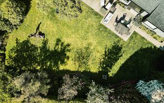 Uomo taglia casa in giardino