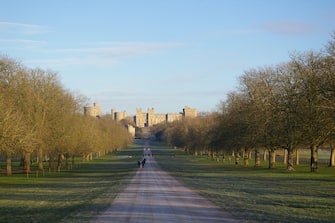 Windsor Great Prk and the Long Walk - a morning in January