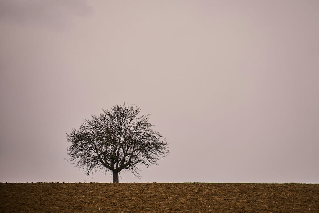 Foto di Wolfgang Hasselmann su Unsplash