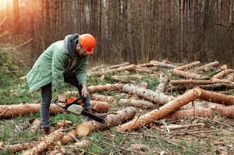 Logging, Worker in a protective suit with a chainsaw sawing wood. Cutting down trees, forest destruction. The concept of industrial destruction of trees, causing harm to the environment.
