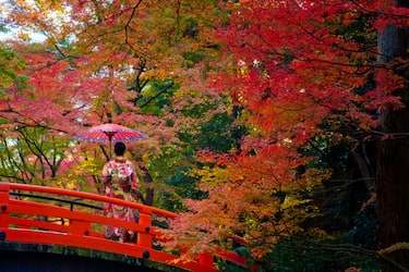 Giappone e Canada, le mete internazionali più iconiche