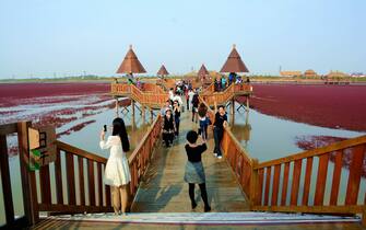 Breathtaking Panjin Red Beach in NE China