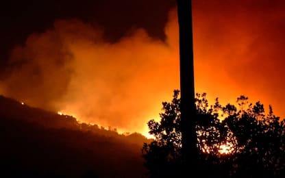 Sardegna, incendio nel Medio Campidano: evacuata colonia penale. FOTO