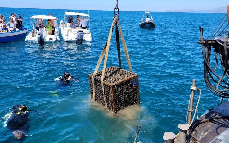 Il liquore portato in superficie dal fondale marino