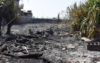 Catania bruciata dagli incendi