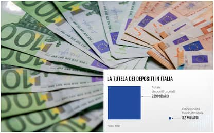 Banche, qual è la disponibilità del fondo di tutela per i depositi?