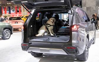NEW YORK, NY - APRIL 05: A dog sits in the car trunk during 2023 New York International Auto Show at Jacob Javits Convention Center on April 5, 2023 in New York City. (Photo by Liao Pan/China News Service/VCG via Getty Images)