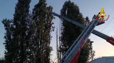Maltempo: in Lombardia 340 interventi dei vigili del fuoco