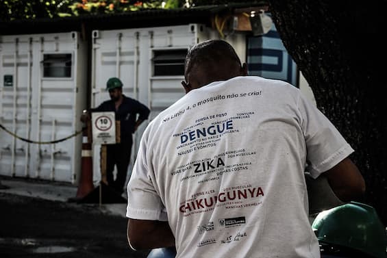 Alerta viral en Brasil por dengue, zika y chikungunya: el riesgo de una nueva pandemia de mosquitos