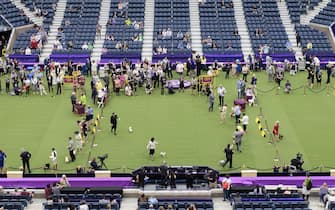 epa10615937 Dogs and their owners during judging at the 147th annual Westminster Kennel Club Dog Show at the USTA Billie Jean King National Tennis Center in Flushing Meadows in the Queens borough of New York, New  York, USA, 08 May 2023.  EPA/JUSTIN LANE
