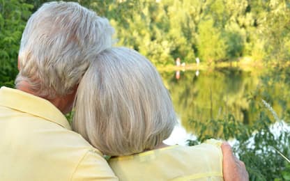Portrait of loving mature couple in the park in summer