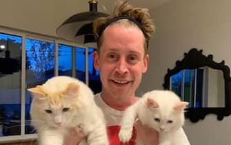 Macaulay Culkin