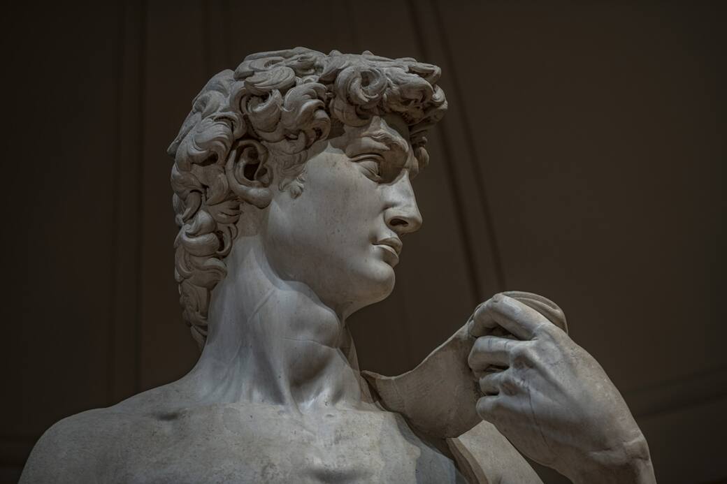 Galleria_dell_Accademia_di_Firenze_-_David_particolare_volto_photo_Guido_Cozzi.jpg