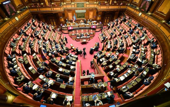 Riforme, via libera al voto per i 18enni al Senato | Sky TG24