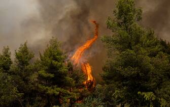 A fire burns through trees in a forest area during a wildfire. Photographer: Konstantinos Tsakalidis/Bloomberg