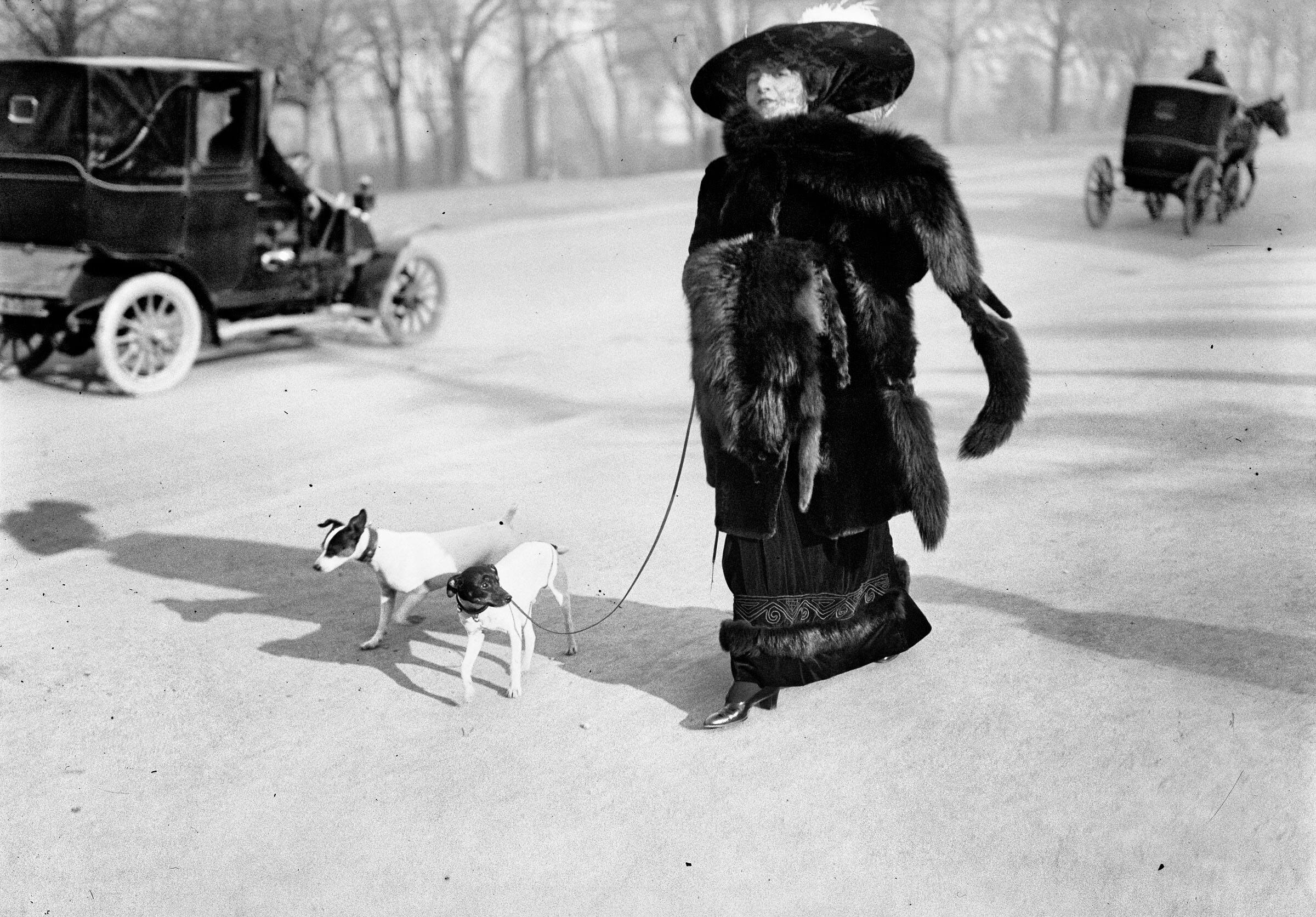 2.-Anna-la-Pradvina-aussi-appelée-_La-femme-aux-renards_-Avenue-du-Bois-Paris-1911_0.jpg