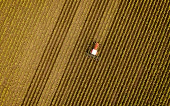 An annual event in springtime is the tilling of the Daffodil fields to combat weeds and to help with irrigation of the flowers.