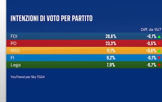 Grafica sulle intenzioni di voto