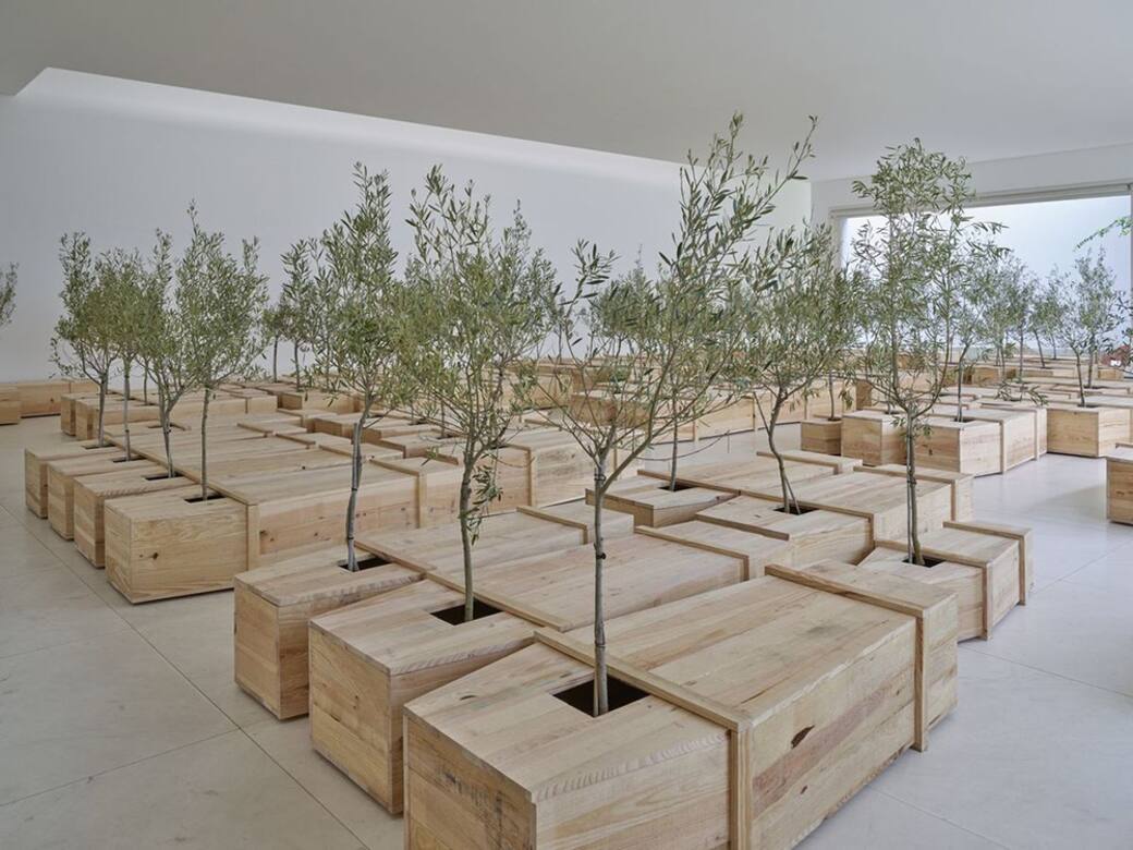 YOKO-ONO-THE-LEARNING-GARDEN-OF-FREEDOM-Serralves-Museum-of-Contemporary-Art-and-Serralves-Park-Porto-Photo-@Filipe-Braga.jpg