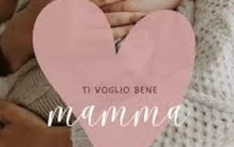 Festa mamma