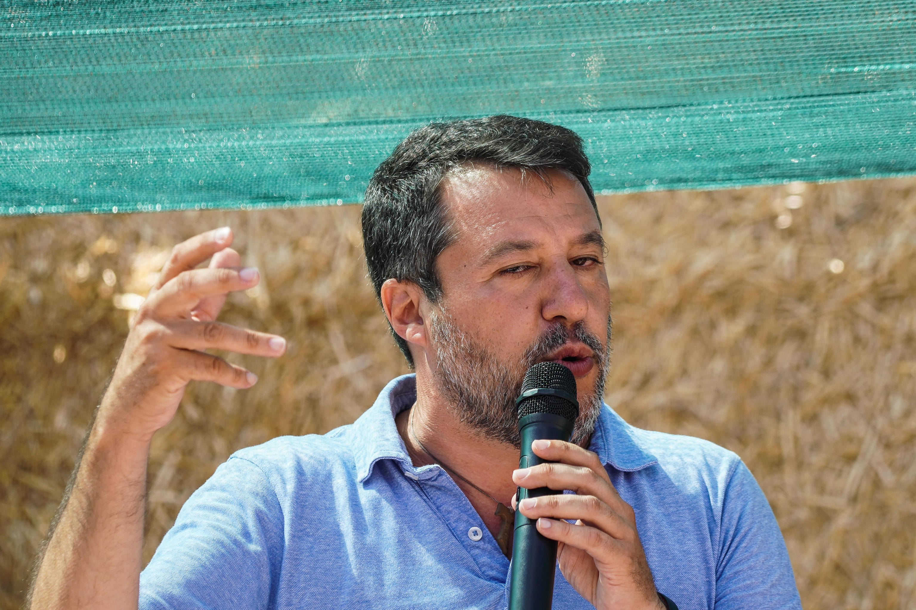 salvini