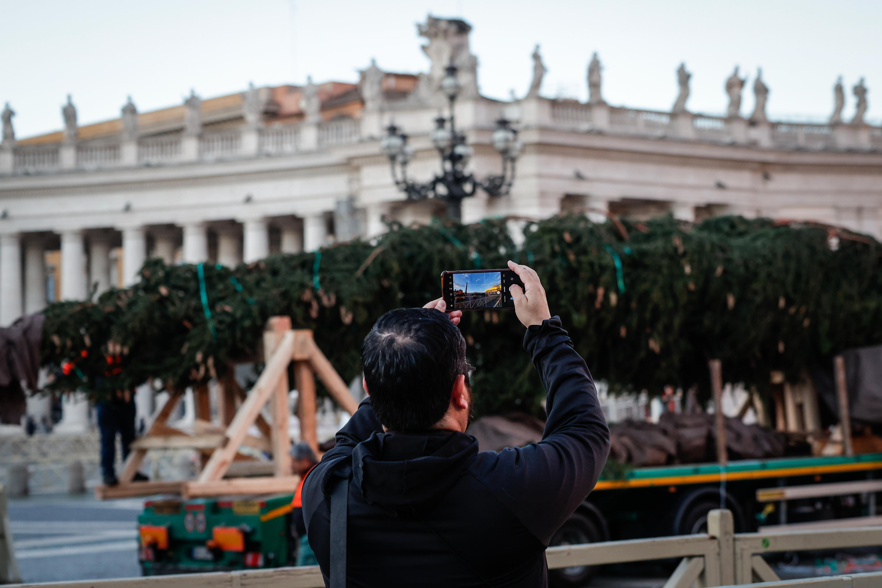 A fir tree from the Piemonte region is erected to serve as a Christmas tree in St. Peter's Square, Vatican,  23 November 2023. A
ANSA/GIUSEPPE LAMI