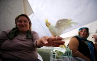 GAZIANTEP, TURKIYE - FEBRUARY 25: A view from a tent city established in quake-hit Gaziantep on February 25, 2023. Gulnaz Kilic, 41, in the Islahiye district of Gaziantep, is staying in the tent city with 11 birds, 4 of which are parrots, that she rescued from her house damaged in the earthquake. On Feb.6 a strong 7.7 earthquake, centered in the Pazarcik district, jolted Kahramanmaras and strongly shook several provinces, including Gaziantep, Sanliurfa, Diyarbakir, Adana, Adiyaman, Malatya, Osmaniye, Hatay, and Kilis. On the same day at 1.24 p.m. (1024GMT), a 7.6 magnitude quake centered in Kahramanmaras' Elbistan district struck the region. (Photo by Ozgun Tiran/Anadolu Agency via Getty Images)