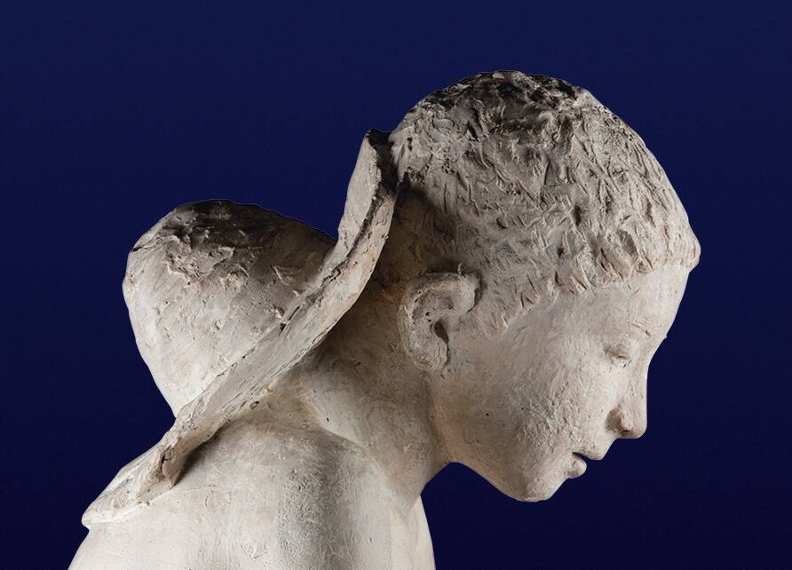 Uno_splendido_avvenire_dettaglio_della_copertina.jpg