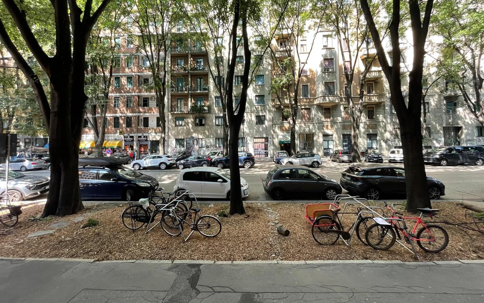 via aselli
