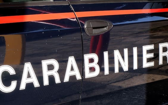 ladri gettano gabbia di canarini durante la fuga nel napoletano arrestati
