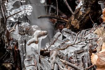 epa10548497 Twigs encrusted with ice hang above a stream near salgotarjan, northern Hungary, 29 March 2023, when subzero temperatures were recorded overnight in most parts of the country.  EPA/Peter Komka HUNGARY OUT