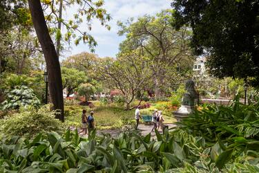 Il giardino municipale di Funchal