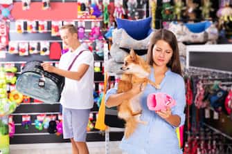 young woman visiting pet shop in search of supplies for her small dog