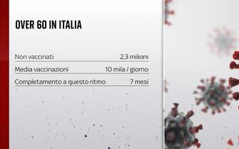 Vaccinazioni over 60 in Italia