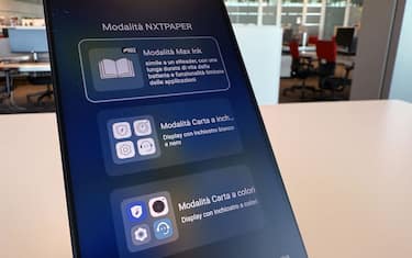 Verdetto, disponibilità e prezzi