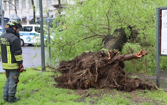 A causa del maltempo un albero e' caduto sulla fermata della linea 14, per fortuna senza causare feriti, a Milano, 31 marzo 2024. Il traffico e' stato deviato.
ANSA/ PAOLO SALMOIRAGO