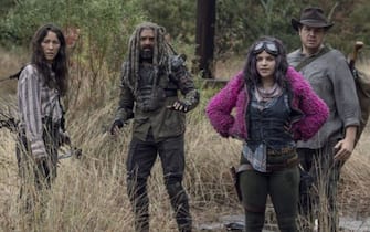 The Walking Dead