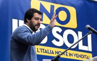 salvini