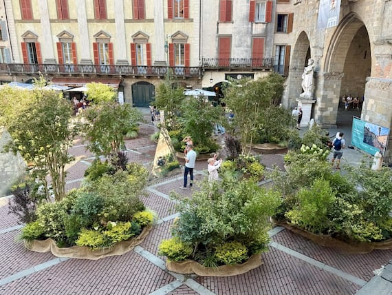 XVI edizione di Landscape Festival – I Maestri del Paesaggio, Installazione Così è se vi appare della paesaggista Cristina Mazzucchelli, in Piazza Vecchia a Bergamo