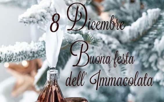 Buongiorno 8 dicembre, frasi e immagini da inviare su WhatsApp per la
