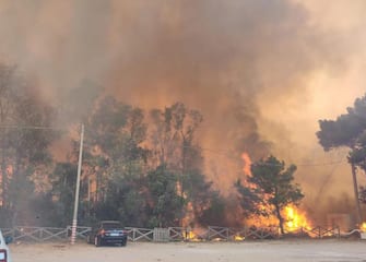 Le fiamme si avvicinano alle auto a Torre Mozza, Ugento (Lecce), 27 luglio 2023. ANSA / Stefania Congedo
(incendi, incendio, mare, spiaggia, emergenza, turisti, fumo)