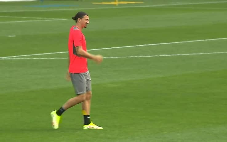 ibra