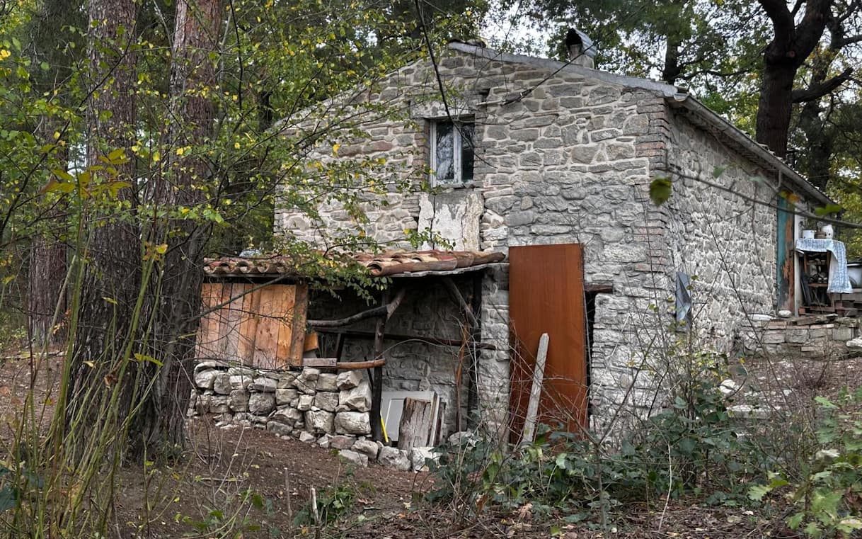 famiglia nel bosco in abruzzo anm tutelati i minori elementi oggettivi da Tg24.sky.it famiglia nel bosco in abruzzo anm tutelati i minori elementi oggettivi